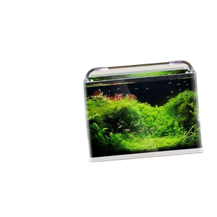 森森热弯超白玻璃鱼缸敞开式热带鱼缸客厅家用透明金水族箱乌龟缸