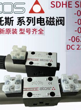 307SD06 11131SH2310//s -电磁阀/to/阿托斯10a14I/HSD  07207DCE