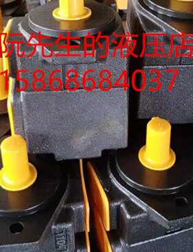 叶片泵6P仙6-居产V2R3RF