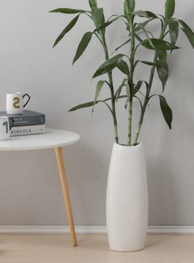 富贵竹花瓶水养 50cm陶瓷红色落地花瓶 40cm高白色陶瓷发财果花瓶