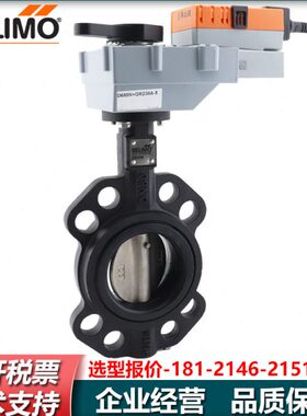 250 U6 650350UN/电动蝶阀DB水阀0/W60BN3000/D62搏力谋UD62206B