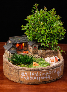 桌面微景观造景植物盆景办公室复古房子模型摆件怀旧W装饰品老物