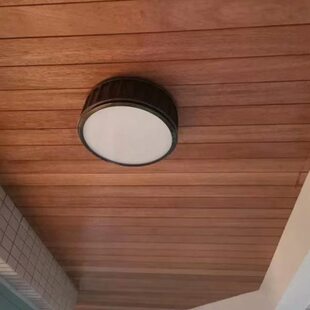 护墙板扣板菠萝格木板印桑拿板户外阳台吊顶防腐木室内外裙实木尼