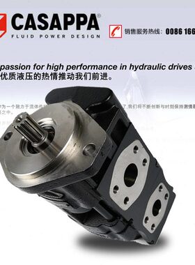 5/K车进8凯斯帕齿轮泵P30APPP3.CA一.三K配件泵3进/0单专用双4AS