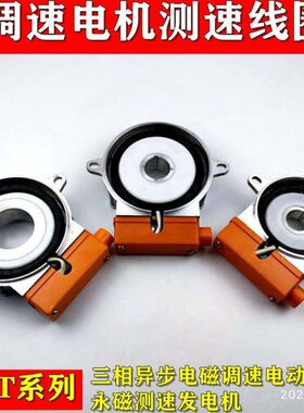 1113电机配件-测励线圈发磁Y2调速电机线圈发电机速测调测速2CT