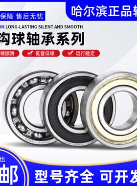 RS60Z21  /哈尔滨32 2822R26 26060深沟球轴承 6024/3026060/60M