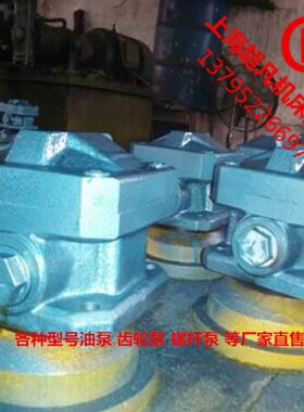 1A1PA1齿轮泵厂-内G-家PPGG直/4-/ 齿轮泵啮合售 P2A1 GA