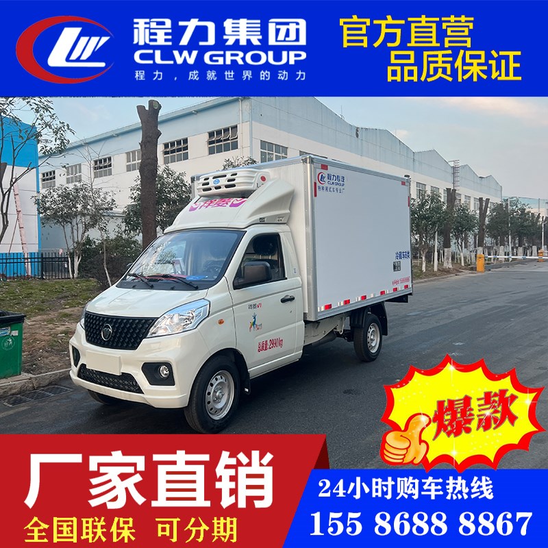 2.8米小型冷藏车厢式s冷藏运输车冷冻车菜果冷链车保鲜保温车