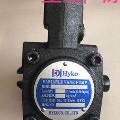 HYKO油泵VPV-30H9-FA3 VPV-15H9-FA3 VPV-20H9-FA3  VPV-40H9-FA3