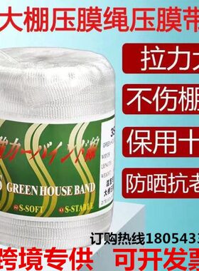 扁带老白色膜压耐高温丝进口化涤纶室专用棚大防温膜耐用压带