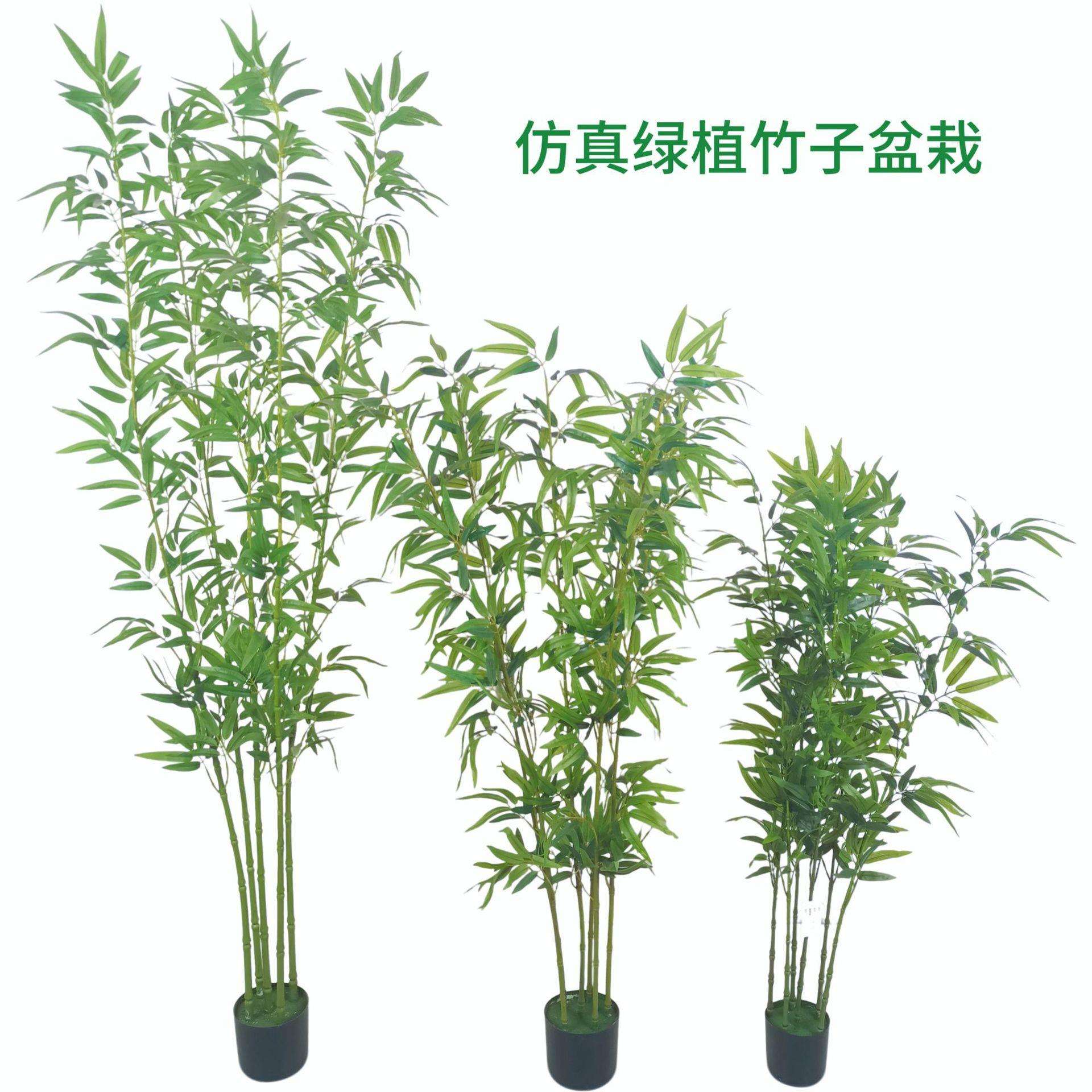 仿真竹子酒店公司开业常绿假绿植装饰人造凤尾葵盆栽装饰仿真竹葵