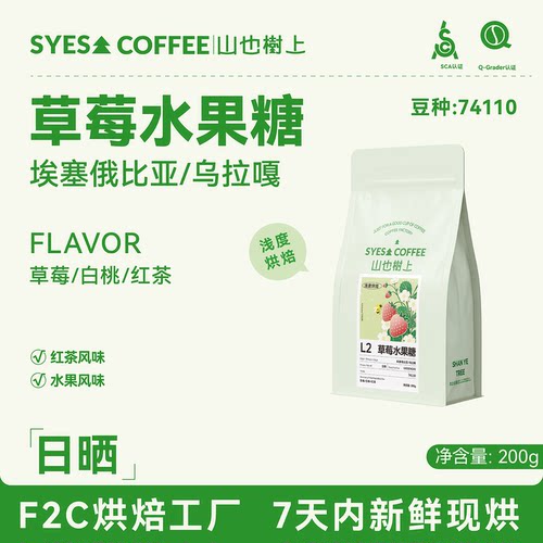 山也树上手冲咖啡豆埃塞俄比亚