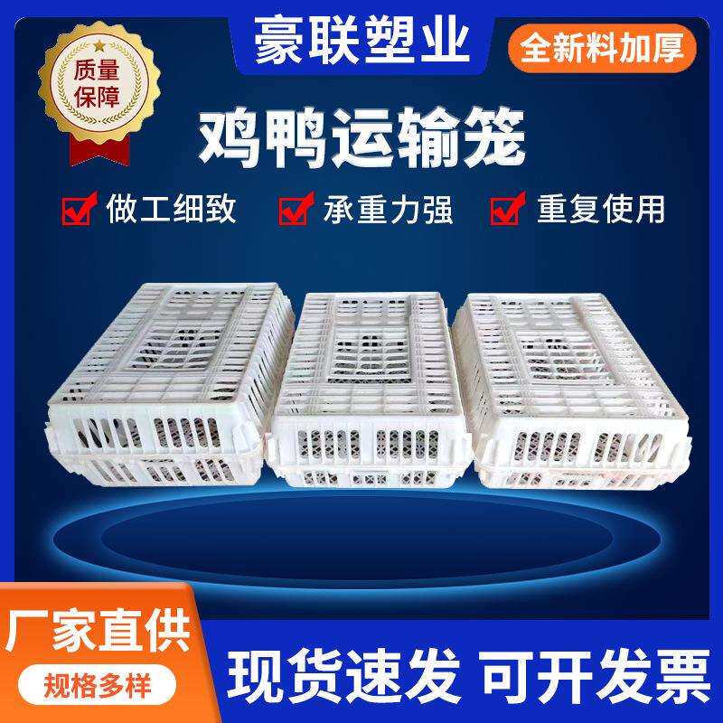 生产周转筐鸡鸭运输笼鸡笼鸭笼家用活禽透气笼子塑料筐塑料周转箱
