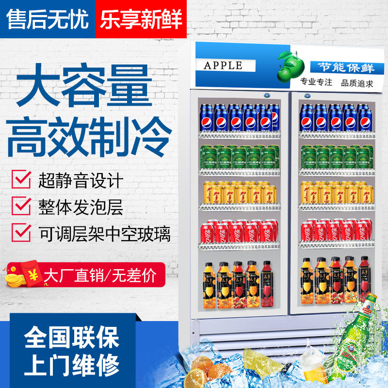 冷藏柜展示柜饮料柜啤酒柜商用铜双门立式陈列柜保鲜柜水果蔬菜柜