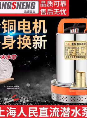 60上海刷直流潜水泵电动车12V24VV2农用人车家用抽水泵民48VV7