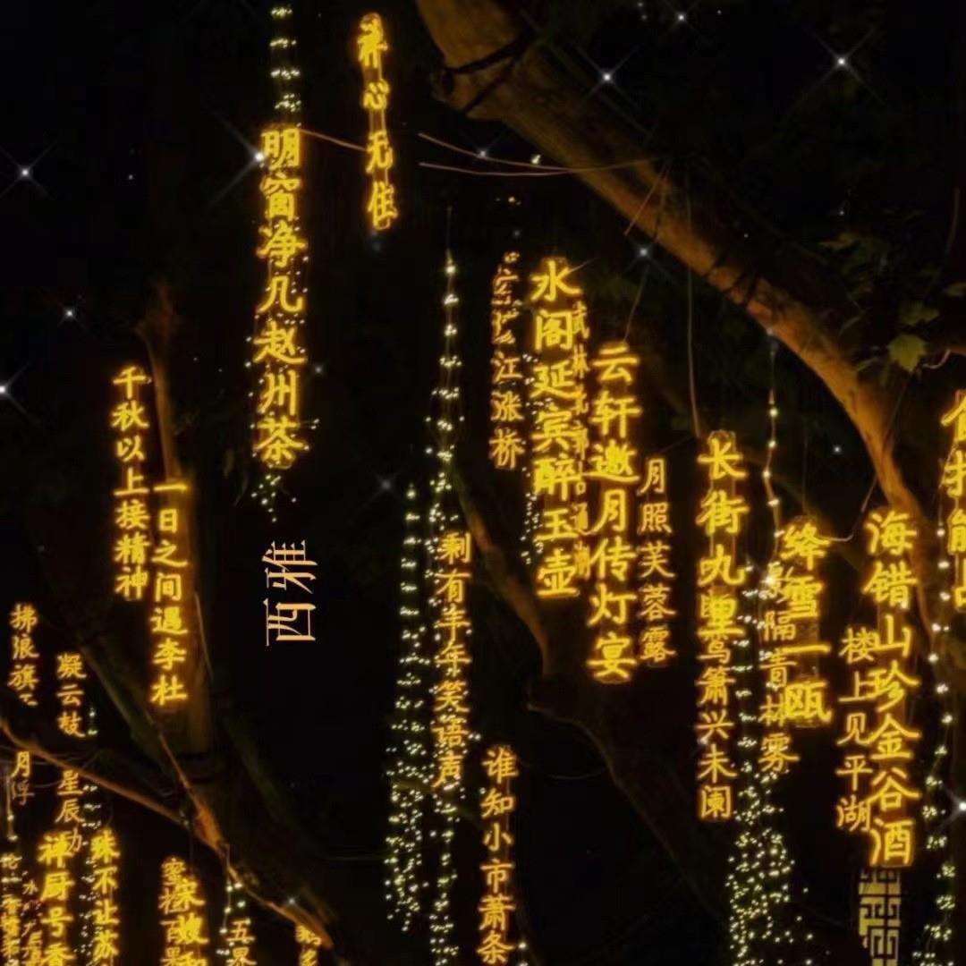 厂家直供LED诗词灯灯串挂树灯节庭院装饰网红步行街吊挂灯