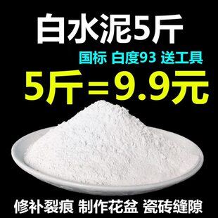 包邮国标5斤白水泥5地漏防水换号砖勾缝粘建筑填坑修补墙粘砌42足