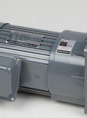 P0电机立式18FWS018东力W-J轴0三 20相4减速马达20WP20  Y-