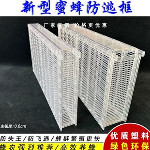 蜜蜂透明防逃笼控王片养蜂工具蜂箱防盗蜂隔王板双王养殖框