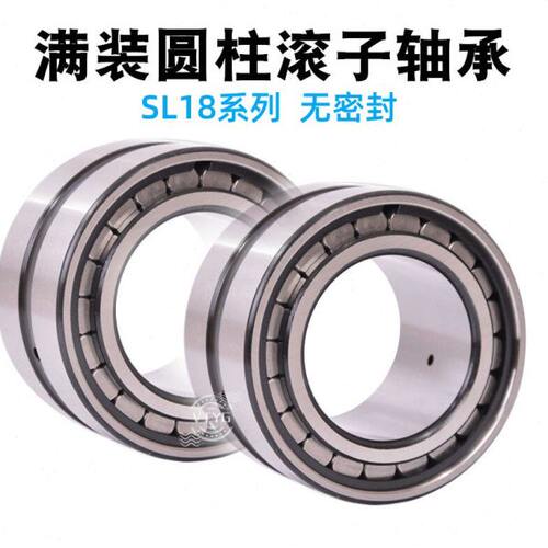 满装圆柱滚子轴承SL18 SL04/NNCF 5004 5005 5006 5007 5008 5009