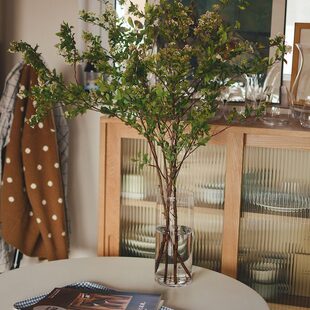 落地银花瓶木透明客厅摆件百合花醉水培直筒简约柳马富贵竹器专用