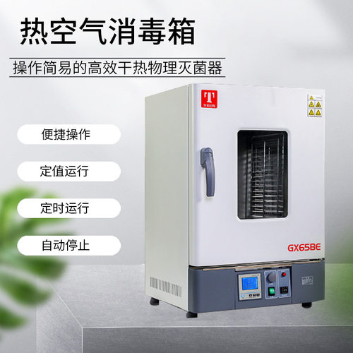 天津泰斯特热空气消毒灭菌干燥箱