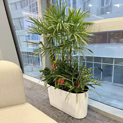 室内隔断花箱自吸水懒人户外大型花卉绿植花槽餐厅门店长条型花盆