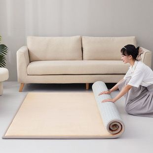 双人瑜伽垫地农村炕防滑地毯加绒床垫家用火炕坐垫可折叠钉制