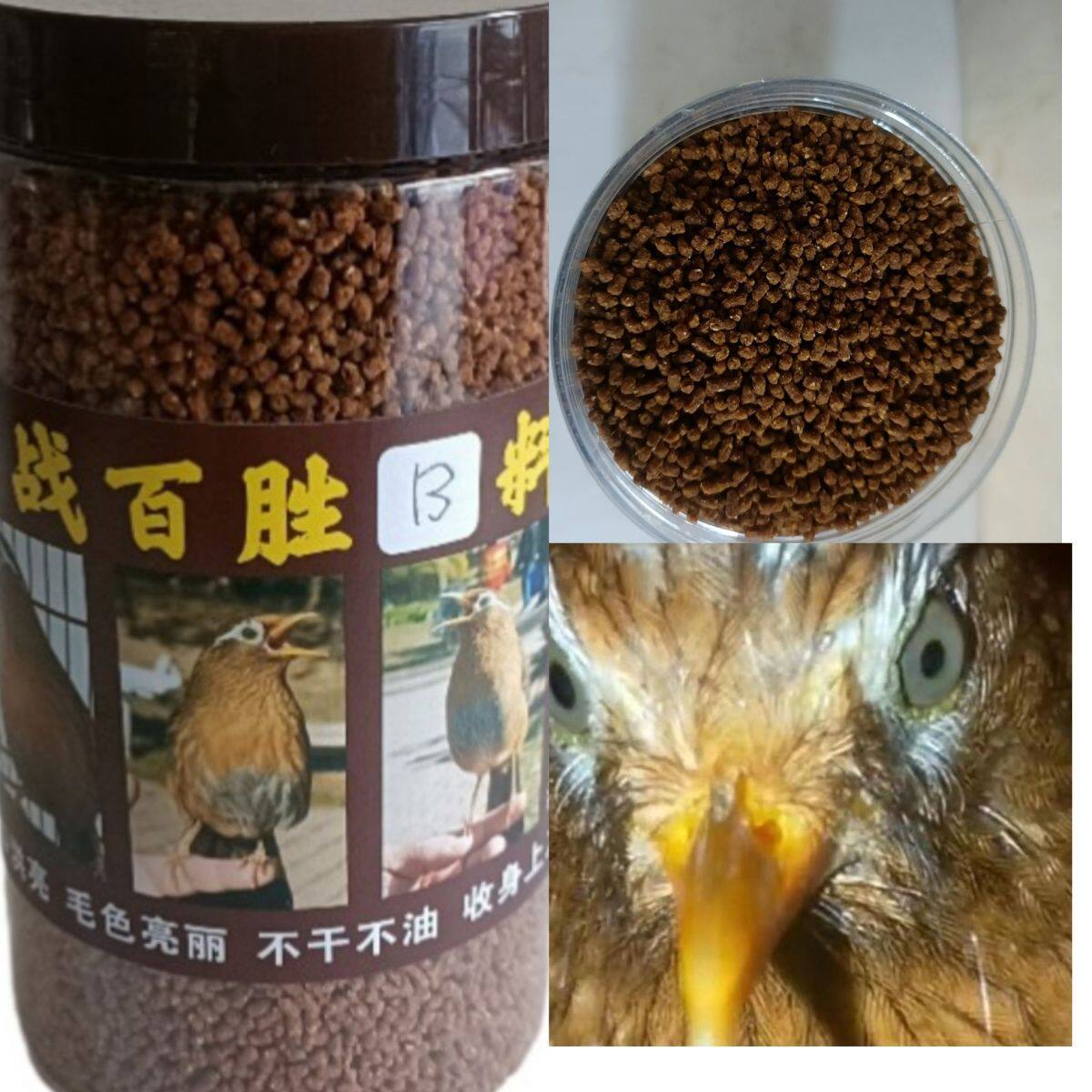 手工画眉鸟食唱鸟斗鸟料提性壮膘收身上力营养专用画眉打鸟饲料
