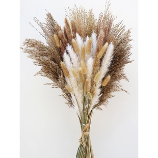 小芦苇干花花束兔尾草拂尘蒲苇潘帕斯尤加利组合家居装饰插花成品