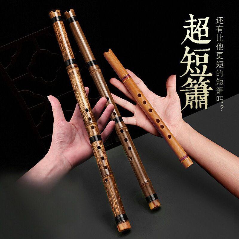 零基础入门洞箫便携苦竹短萧迷你小笛子古风六调初学萧乐器,乐器/吉他/钢琴/配件,其它乐器配件,淘宝优惠券,粉丝福利购,淘宝优惠卷