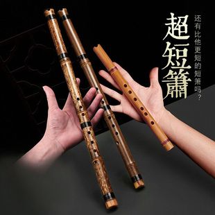 零基础入门洞箫便携苦竹短萧迷你小笛子古风六调初学萧乐器