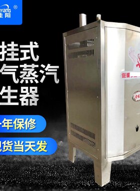燃气蒸汽发生器 壁挂式燃气蒸汽发生器 燃气蒸汽锅炉 蒸汽机