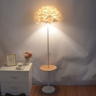 落地灯羽毛灯卧室床头网红ins风北欧结婚庆浪漫创意客厅立式台灯