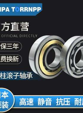 JNPA TORRNPP日本NU313EM NU314EM NU315EM NU316EM NU317EM轴承