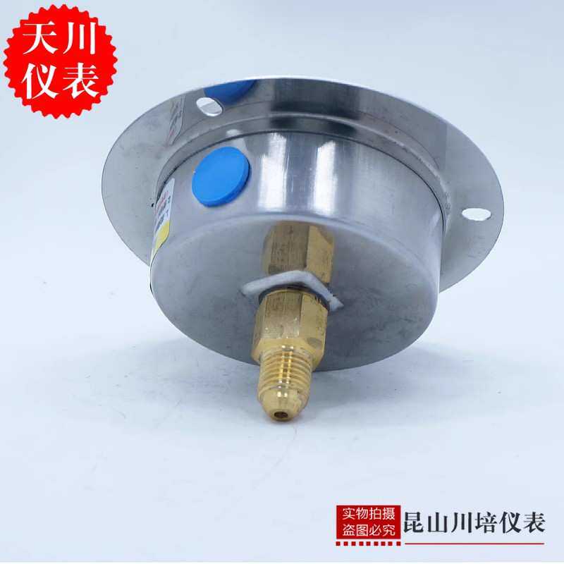 上海天川仪表厂YN-60ZT轴向带边耐震压力表冷煤表制冷表接口7/16