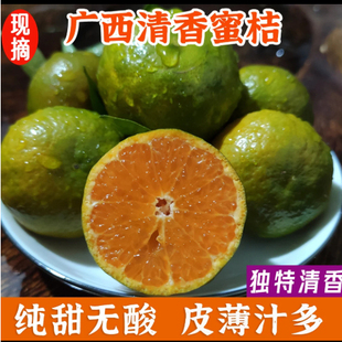 【下单立减50】清香蜜橘广西清香茶橘清香橘清香蜜桔青香茶桔新鲜