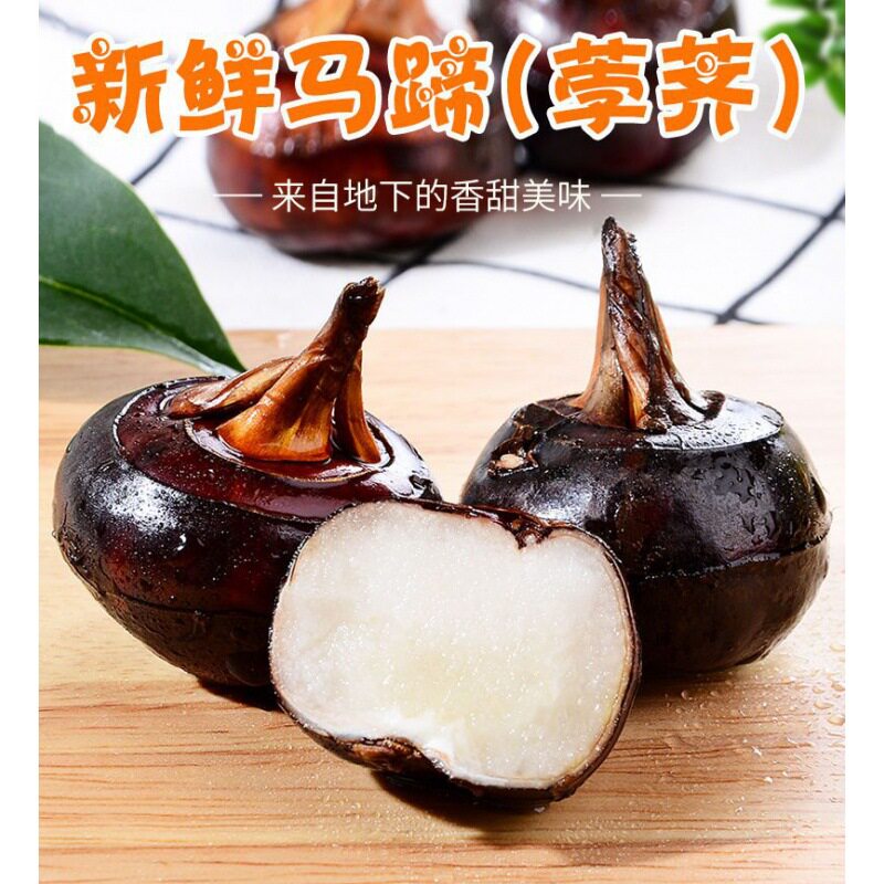 【下单立减50】新鲜现挖现发带泥马蹄果荸荠应季脆甜可煲汤即食
