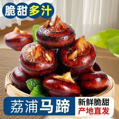 【下单立减50】新鲜现挖现发带泥马蹄果荸荠地梨应季可煲汤即食