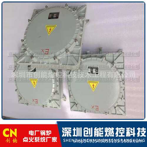 防爆高能点火装置 NDH-100/EX