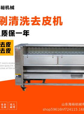 自动土豆火龙果去皮机毛辊清洗设备商用果汁加工定制