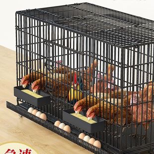 鸡笼家用室外小号大号特大号养鸡笼室内阳台加密养殖笼鸡笼子