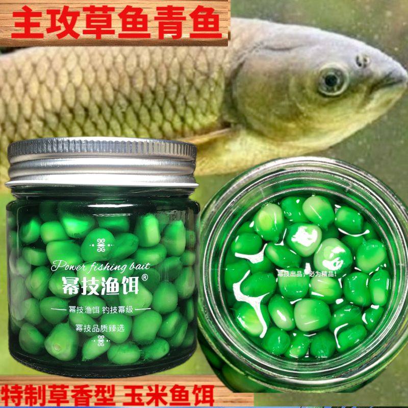 主攻青鱼草鱼精制草香玉米鱼饵野钓黑坑通用草青鲤鱼饵料,户外/登山/野营/旅行用品,台钓饵,淘宝优惠券,粉丝福利购,淘宝优惠卷