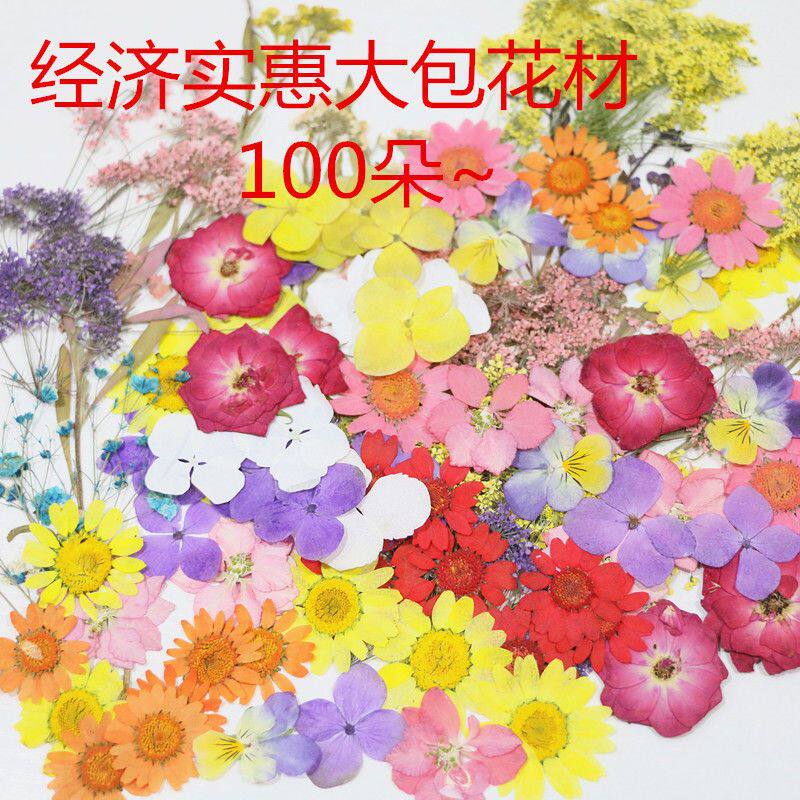 干花标本材料儿童手工diy彩妆滴胶拍照摄影拓印大包便宜