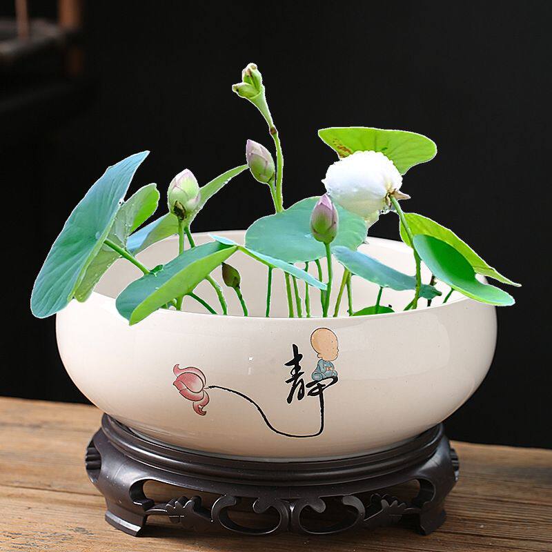 碗莲盆缸铜钱草睡莲一叶莲水仙花盆金钱草水培植物盆无孔陶瓷