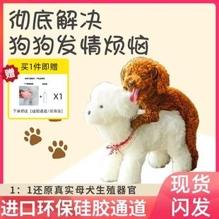 公狗交配玩具狗狗发泄火宠物用品可拆洗泰迪狗期骑跨玩偶
