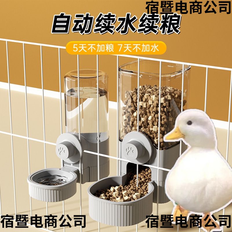 柯尔鸭自动喂食器饮水机鸭子碗食盆粮碗悬挂式小宠防打翻喝水的碗