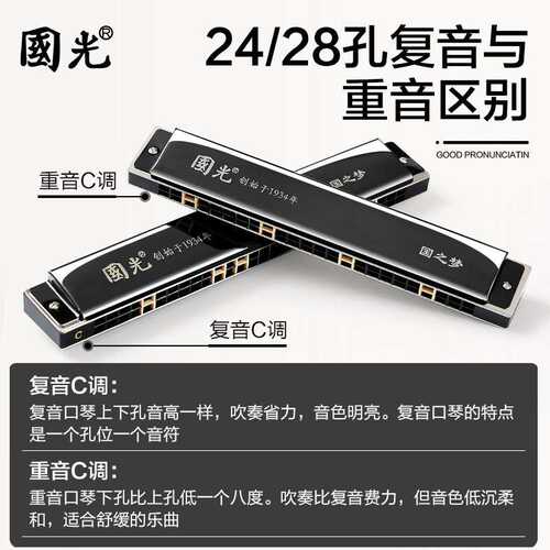 国光国之梦口琴24孔复音28重音C调初学者儿童专业演奏级乐器男士