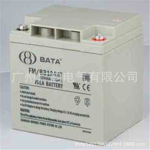 BB1265T放电参数值 鸿贝蓄电池12V65AH鸿贝FM 营口 BATA