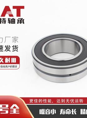 BS2-2209-2CS/VT143密封调心滚子轴承BS2-2210-2CS/VT143减速机用